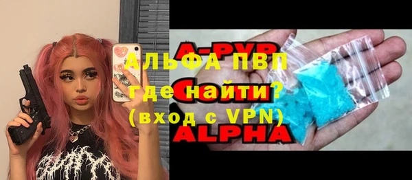 прущие грибы Переславль-Залесский