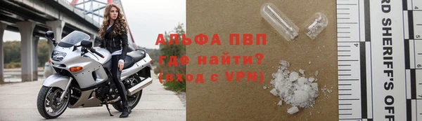 прущие грибы Переславль-Залесский