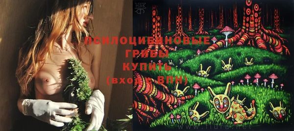 прущие грибы Переславль-Залесский