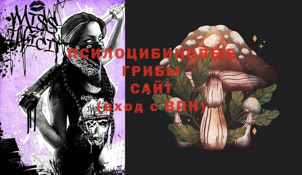 метадон Пересвет