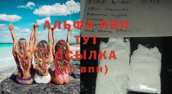 прущие грибы Переславль-Залесский