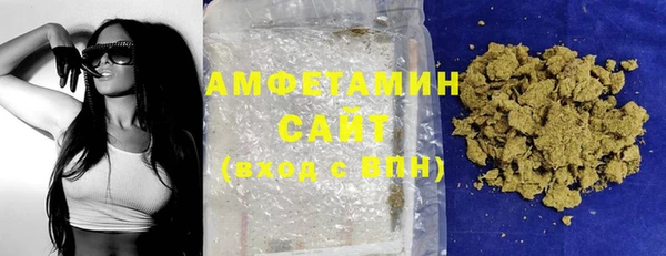 прущие грибы Переславль-Залесский