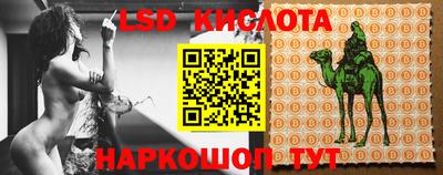 СК Волжск