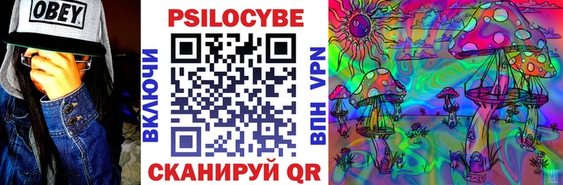 Псилоцибиновые грибы мицелий  Холмск 