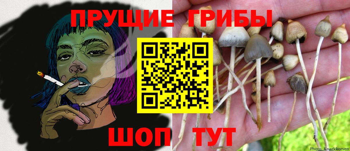 Псилоцибиновые грибы прущие грибы Холмск