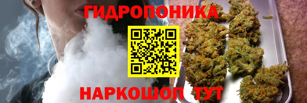 Бошки Шишки план Холмск